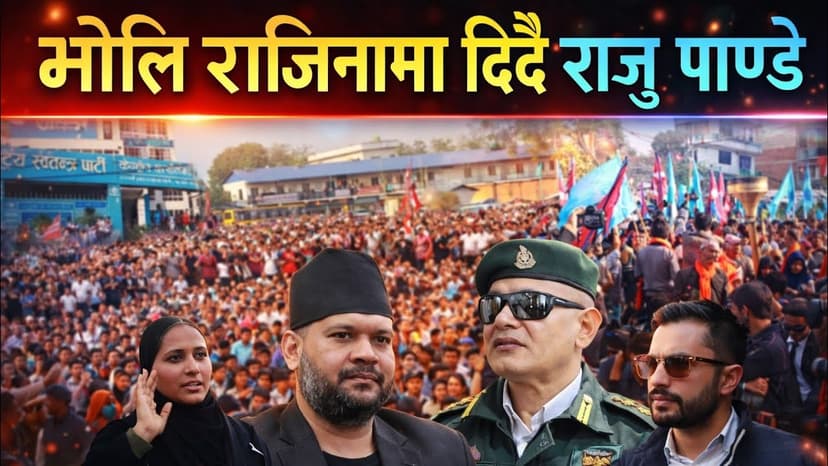 भोलि राजिनामा दिदै राजु पाण्डे